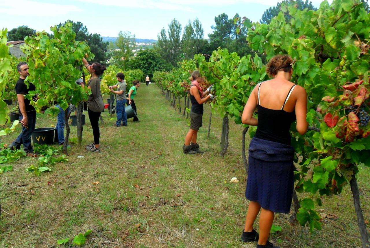 Verde Agua Agroturismo E Agricultura Biologica Couto Exterior foto